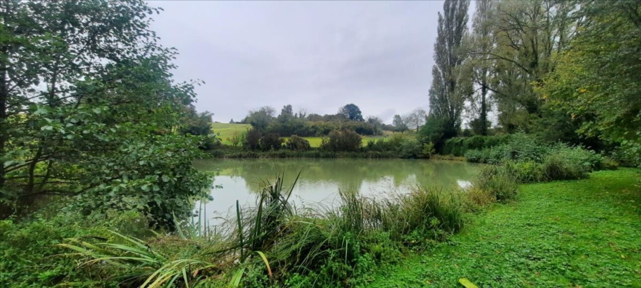 Photos 2 - Land - Etang pour la pêche en famille ou avec les amis