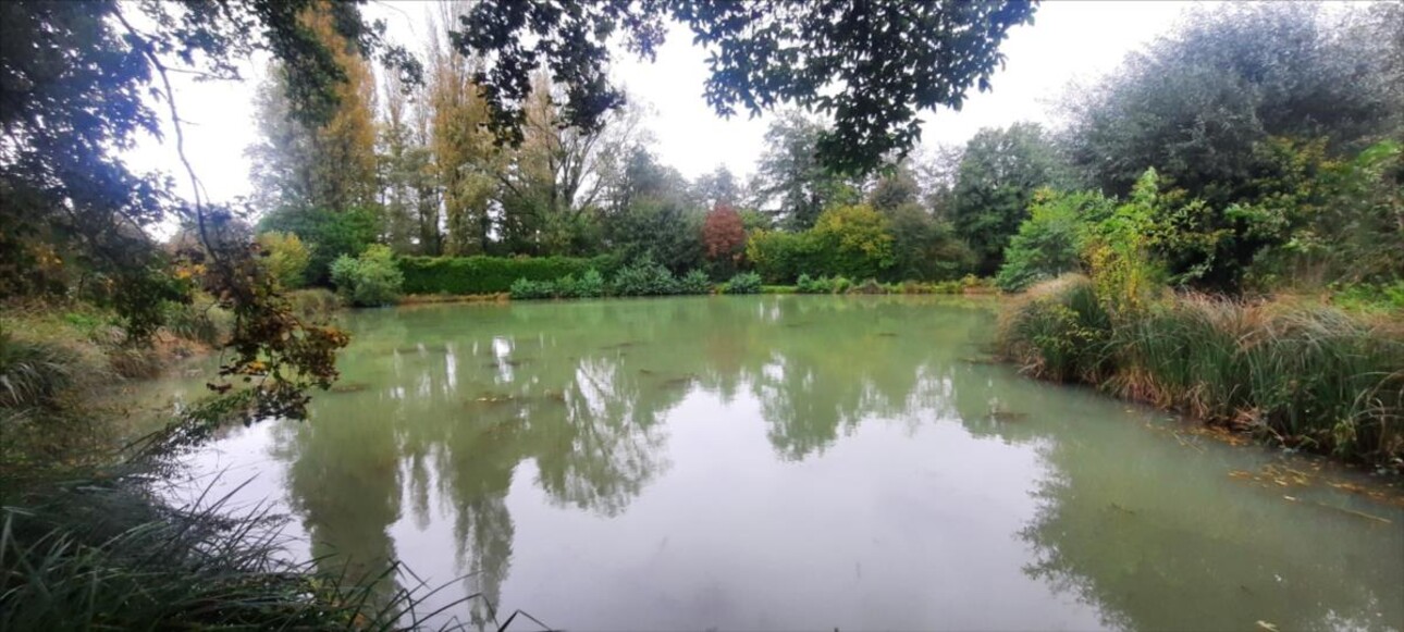 Photos 3 - Foncière - Etang pour la pêche en famille ou avec les amis