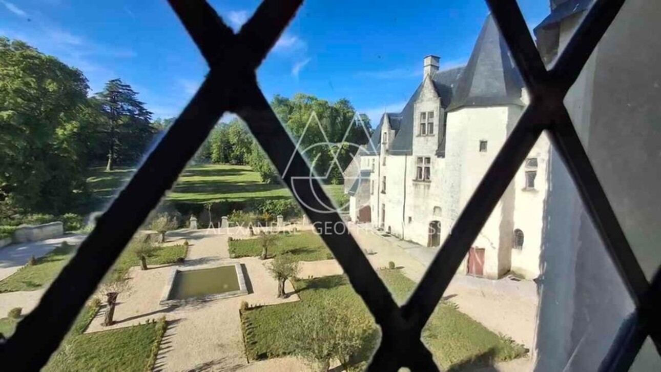 Photos 11 - Prestigious - Millennial castle overlooking a village in a 15 ha park.