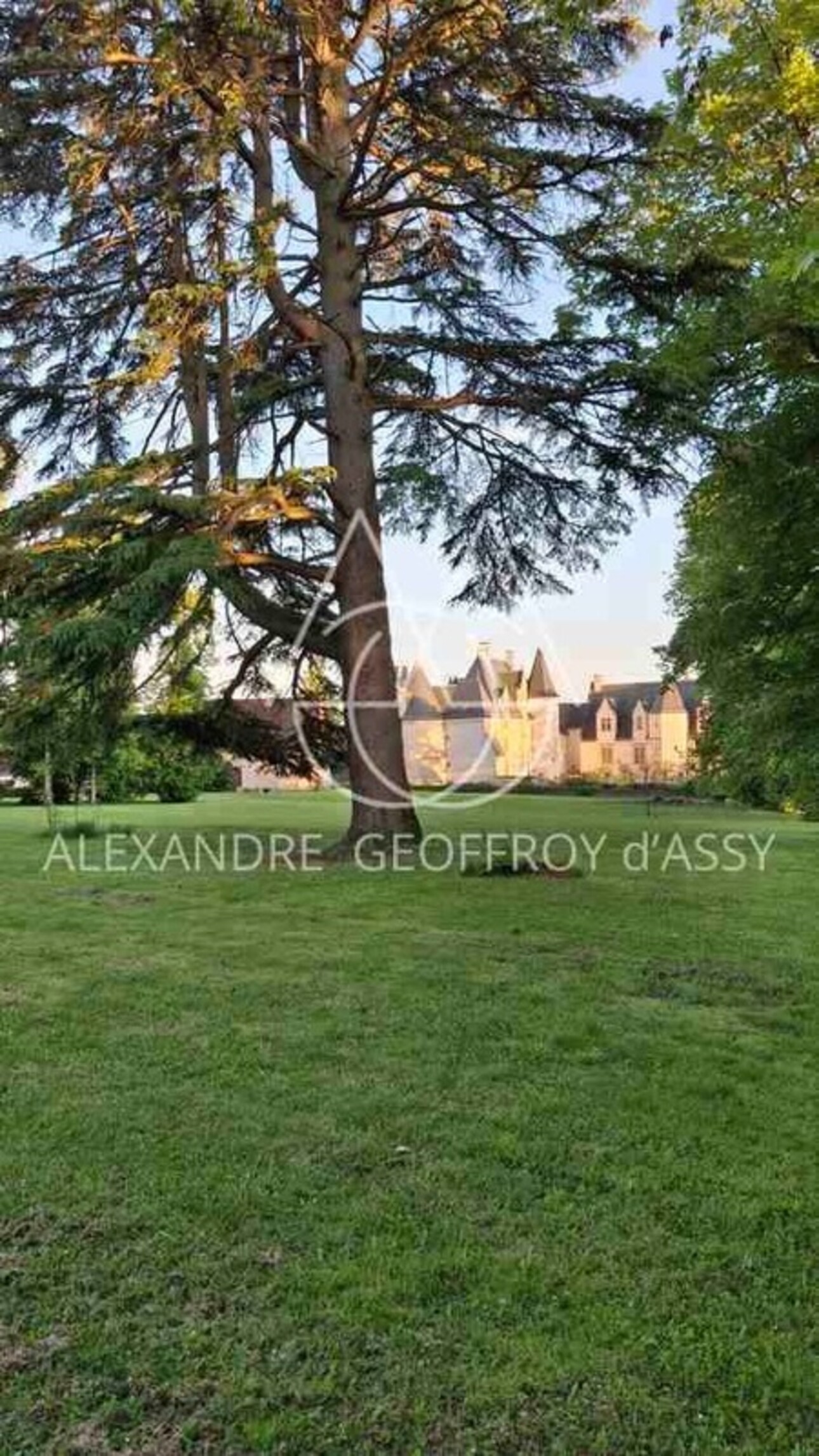 Photos 13 - Prestige - Château millénaire 16 pièces surplombant un village sur un parc de 15 ha