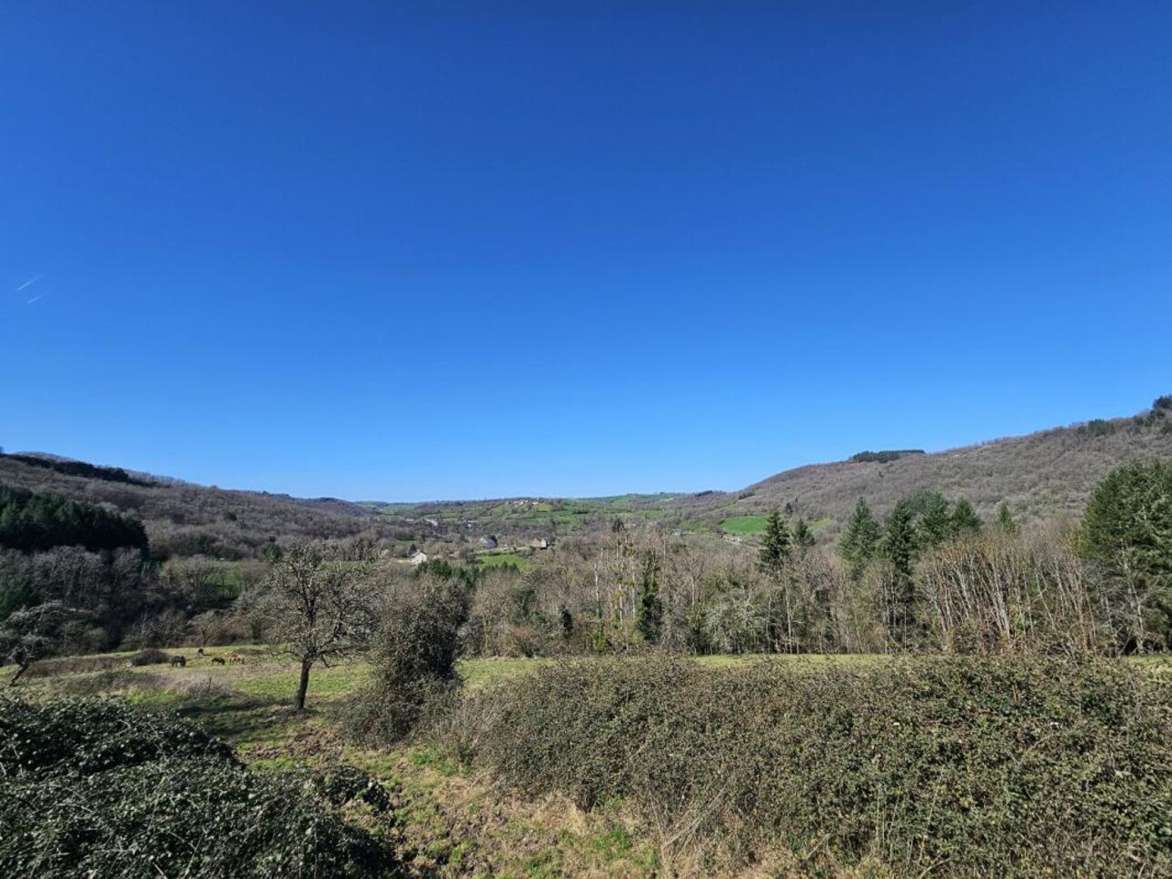 Photos 2 - Foncière - Propriété agricole