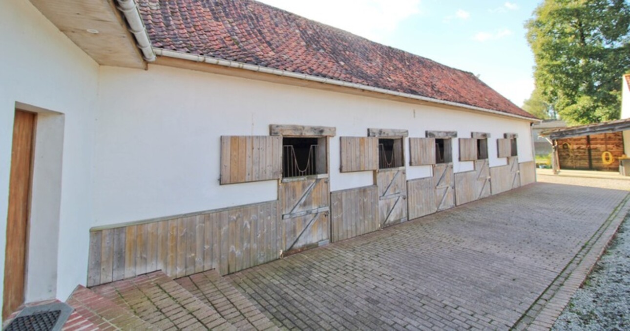 Photos 3 - Equestrian - Dpt Pas de Calais (62), for sale BEUSSENT property P13 of 250 m² - Land of 1.80 Ha