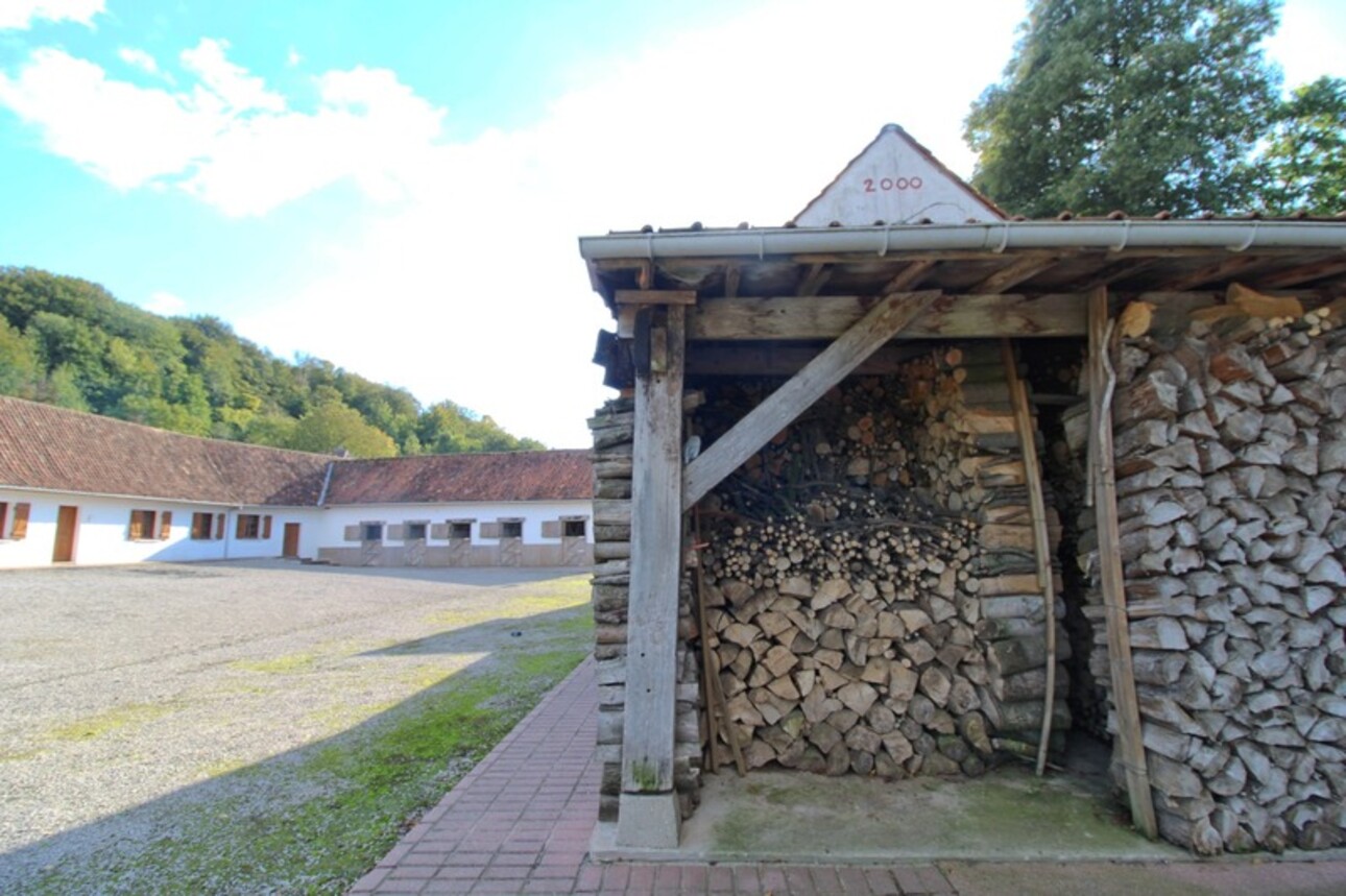 Photos 11 - Équestre - Dpt Pas de Calais (62), à vendre BEUSSENT propriété P13 de 250 m² - Terrain de 1,80 Ha