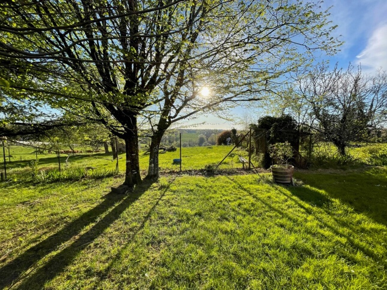 Photos 18 - Tourist - Dpt Corrèze (19), à vendre ESTIVAUX propriete P7