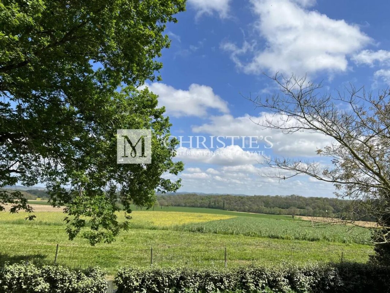 Photos 18 - Prestige - Vente Superbe château de campagne de 1,5 hectare - Toulouse 1hr 15 mins