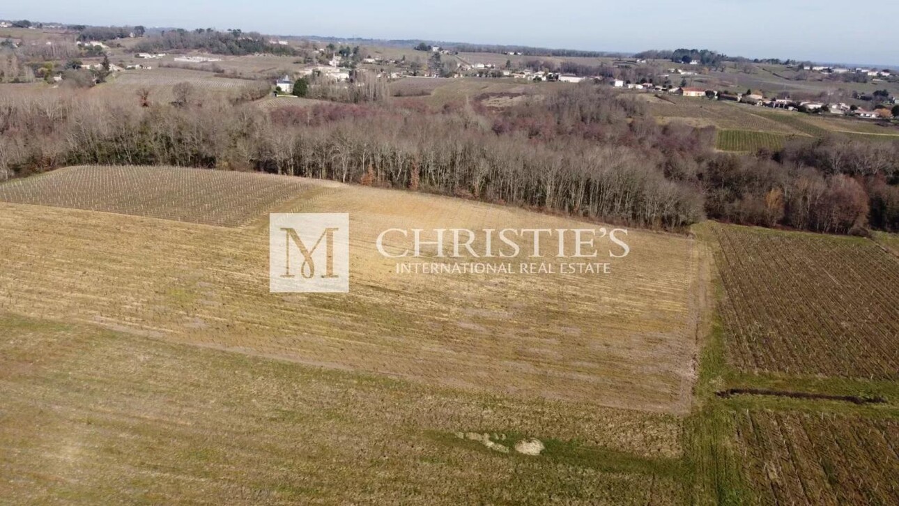 Photos 9 - Vineyard - Vineyard estate for sale  - 10 ha of vines in one single block