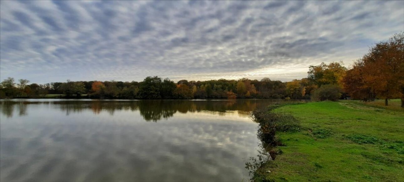 Photos 2 - Forest - Exclusif Etang secteur Vatan (36)