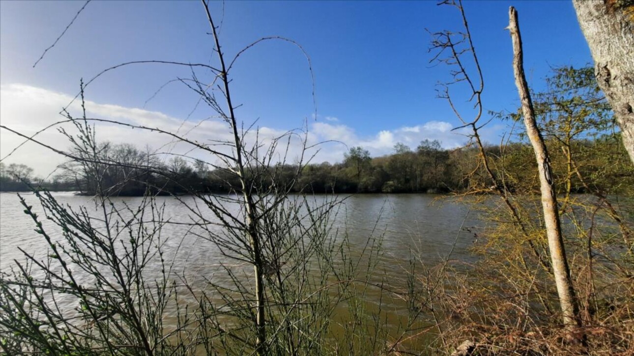 Photos 6 - Forestière - Exclusif Etang secteur Vatan (36)