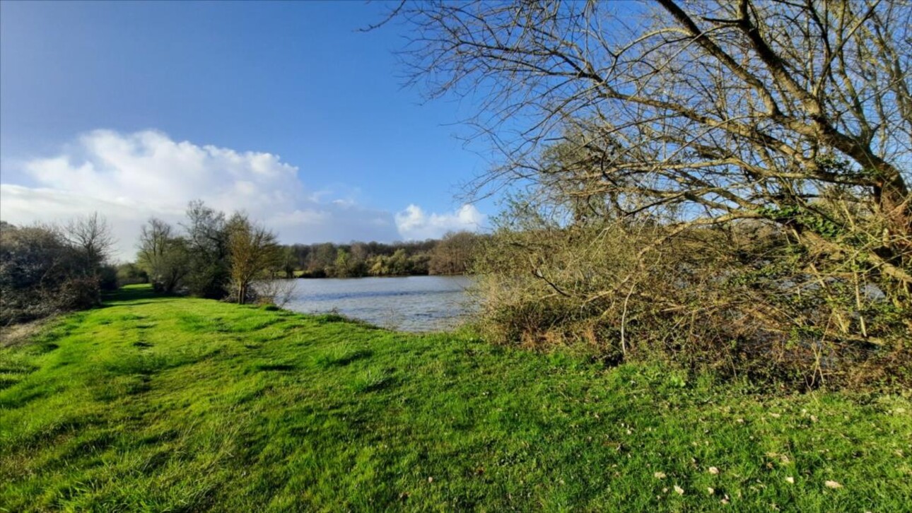 Photos 9 - Forestière - Exclusif Etang secteur Vatan (36)