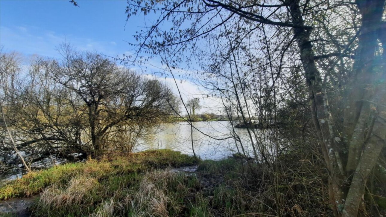 Photos 14 - Forestière - Exclusif Etang secteur Vatan (36)