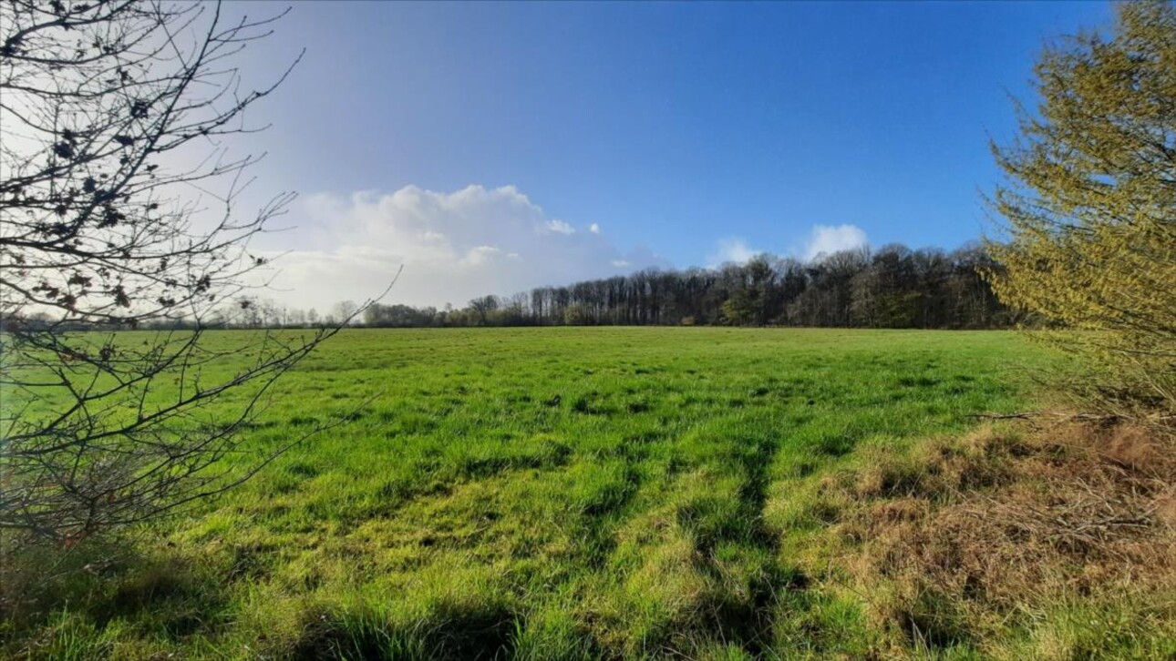 Photos 15 - Forestière - Exclusif Etang secteur Vatan (36)