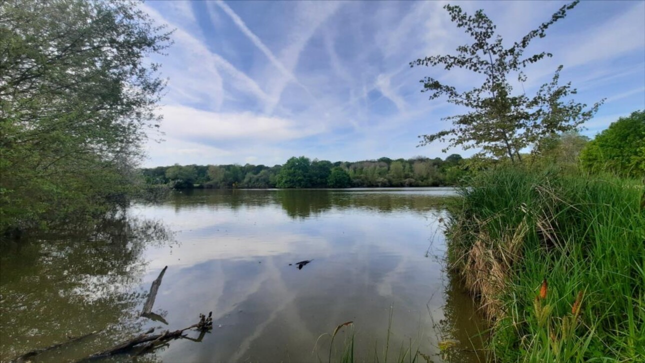 Photos 17 - Forestière - Exclusif Etang secteur Vatan (36)