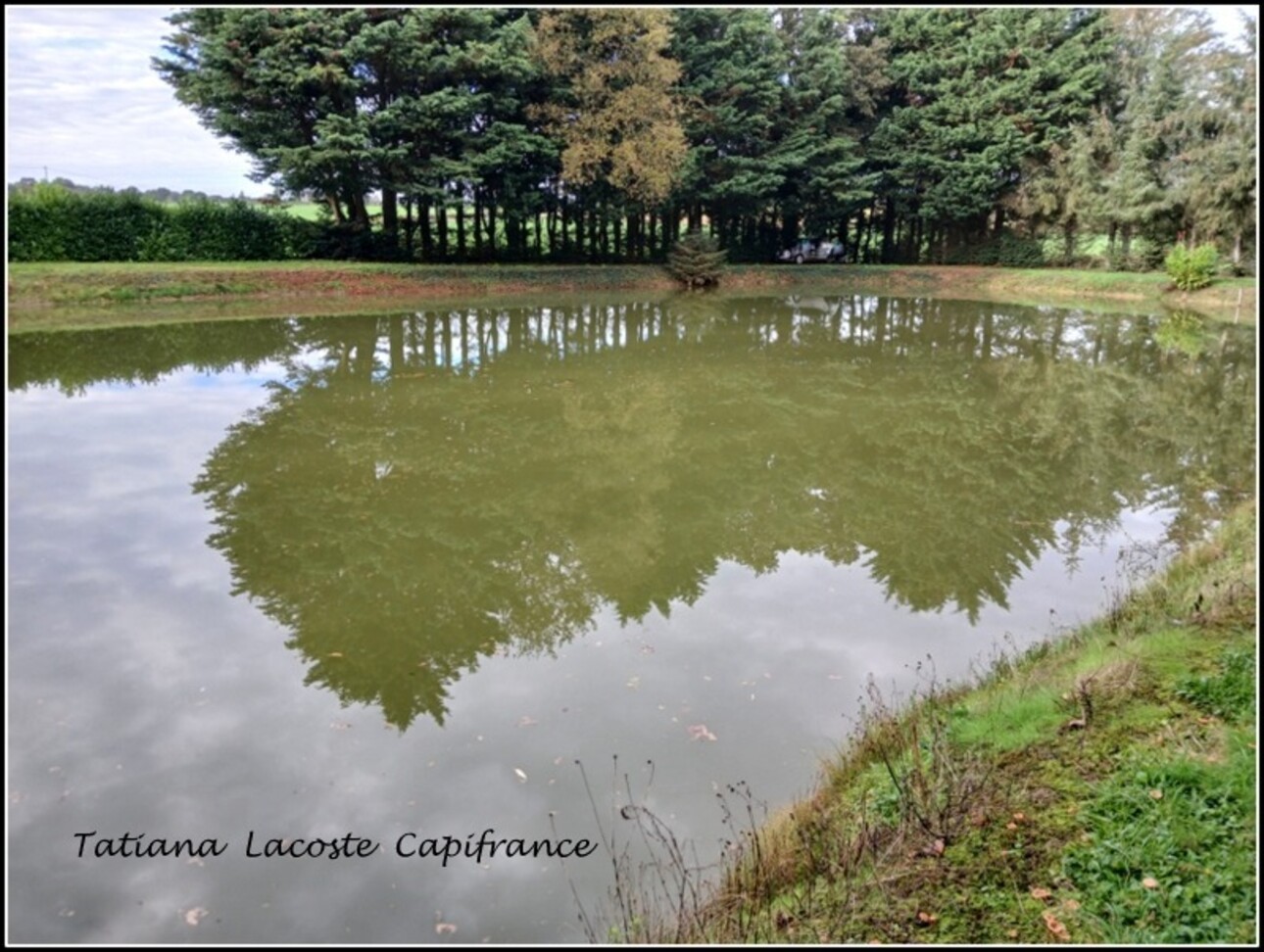 Photos 2 - Foncière - Terrain de loisir de 3500M² avec un jolie plan d'eau