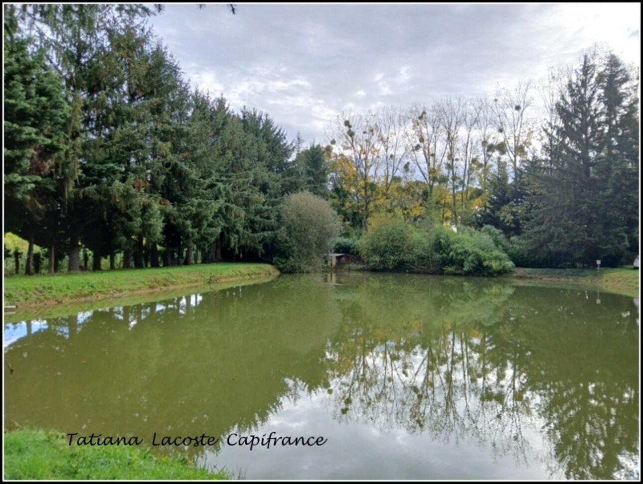 Photos 4 - Land - 3500m² leisure land with a pretty lake