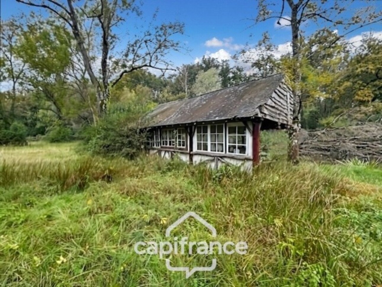 Photos 3 - Foncière - Terrain de loisir + bois  à vendre  SAINT DOULCHARD (18)