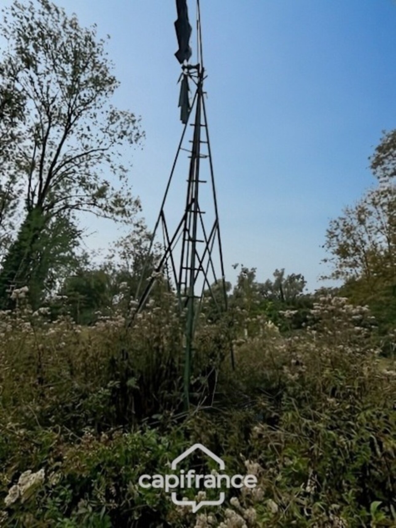 Photos 6 - Foncière - Terrain de loisir + bois  à vendre  SAINT DOULCHARD (18)