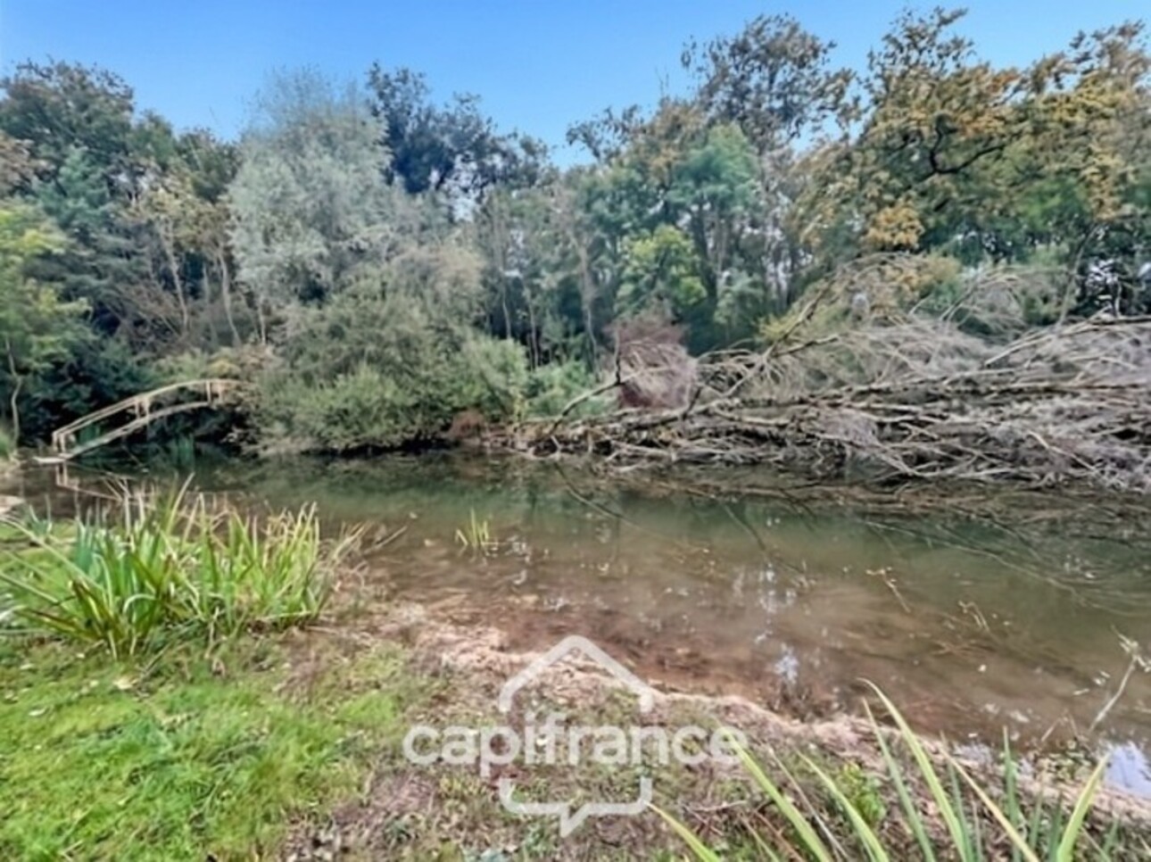 Photos 8 - Land - Terrain de loisir + bois  à vendre  SAINT DOULCHARD (18)