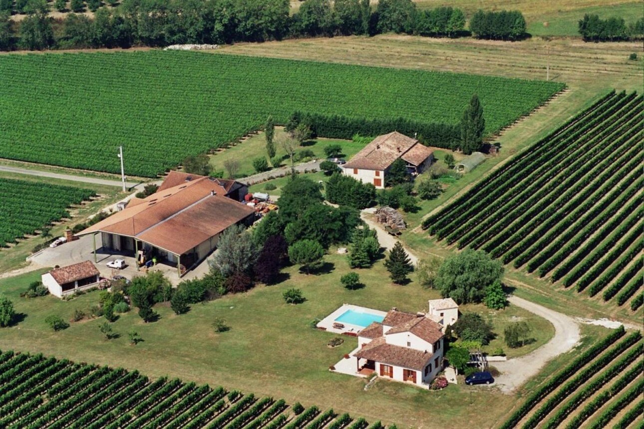 Photos 6 - Vineyard - Magnificent turnkey vineyard estate for sale - AOC Côtes de Duras with wine stock included