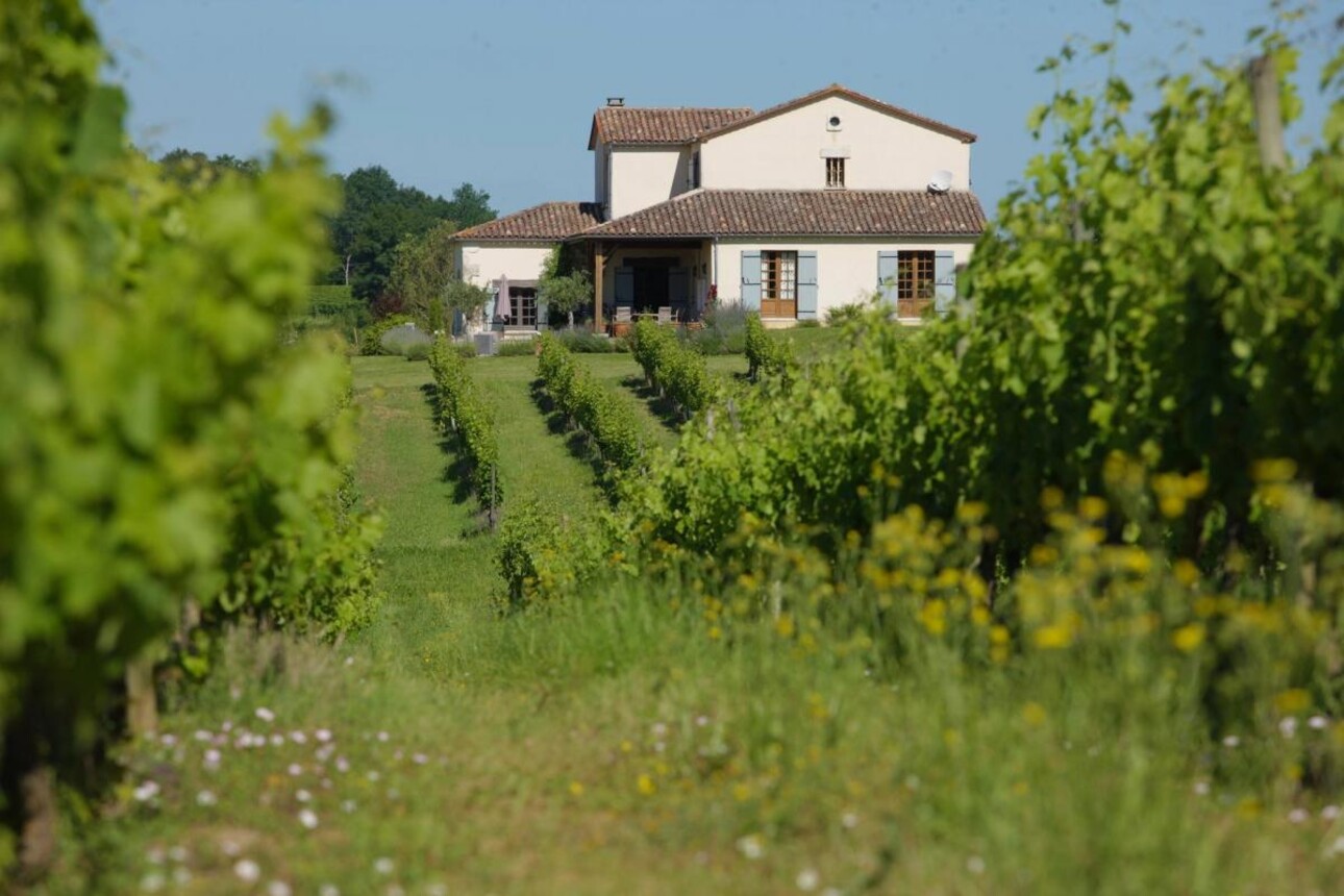 Photos 10 - Vineyard - Magnificent turnkey vineyard estate for sale - AOC Côtes de Duras with wine stock included