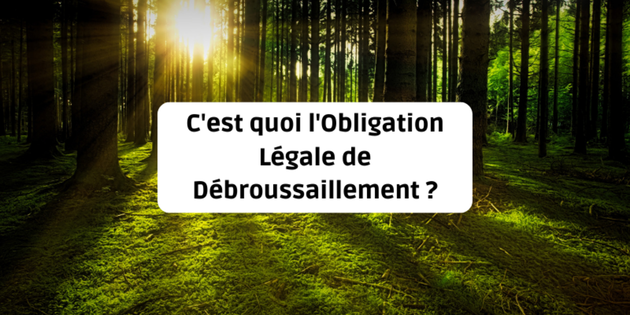 What is the Obligation Légale de Débroussaillement (OLD)?