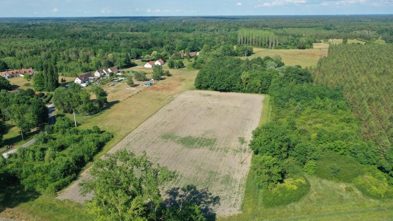 Photos 3 - Équestre - Terrain constructible avec partie agricole