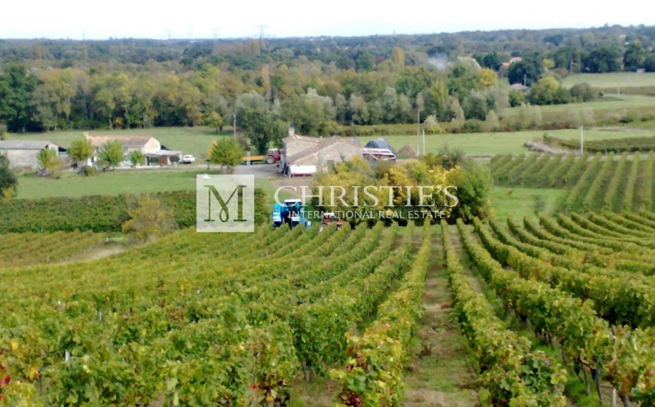 Photos 1 - Vineyard - Family vineyard for sale: 13.5 hectares in the heart of the Libourne region