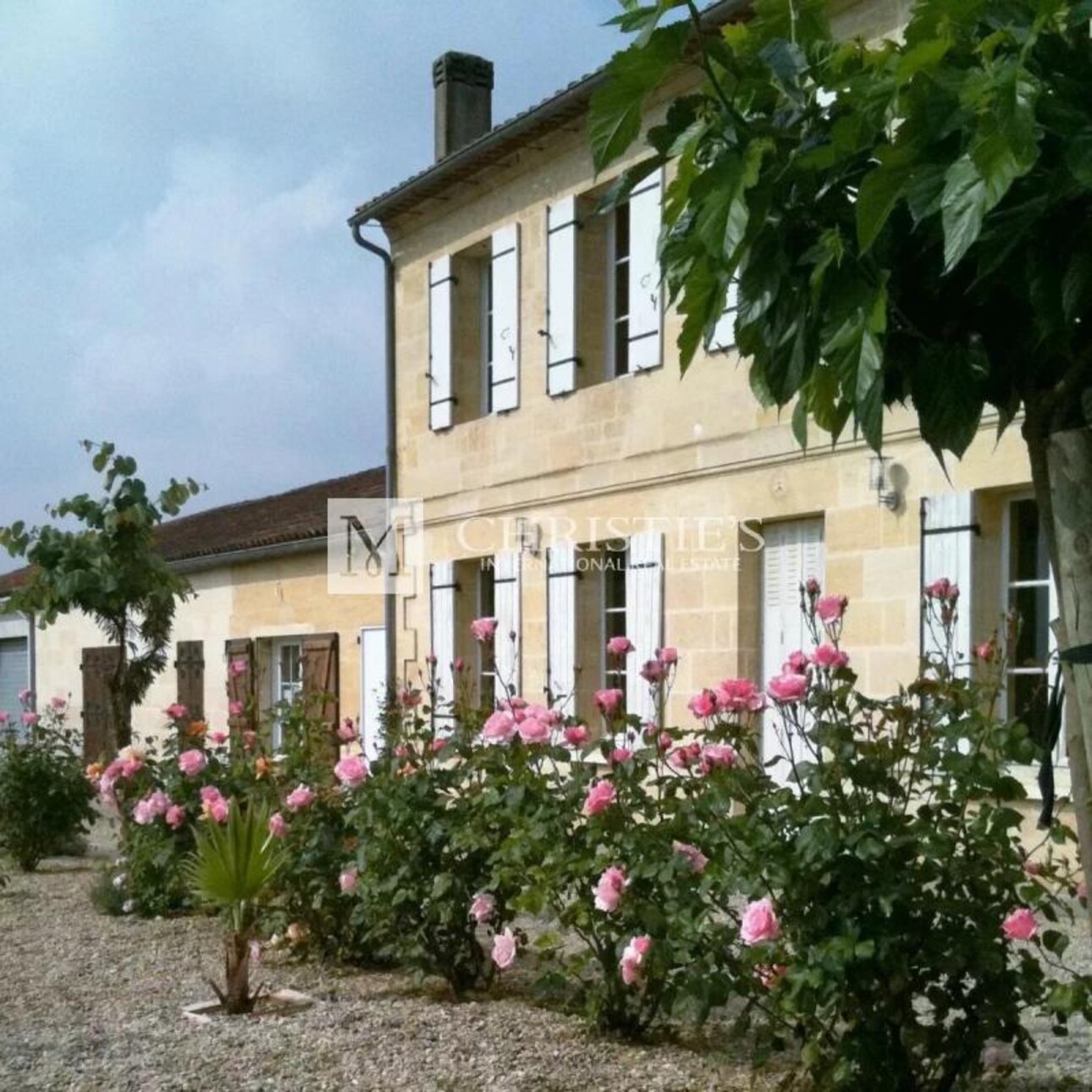 Photos 4 - Vineyard - Beautiful vineyard estate of 1 ha in AOP Saint-Emilion for sale