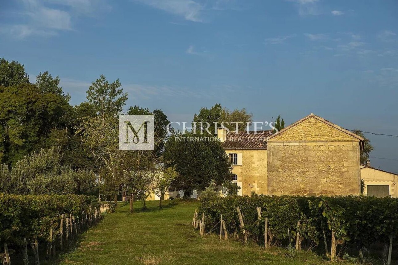 Photos 17 - Vineyard - For sale beautiful turnkey lifestyle passion vineyard estate on the banks of the Dordogne River clos