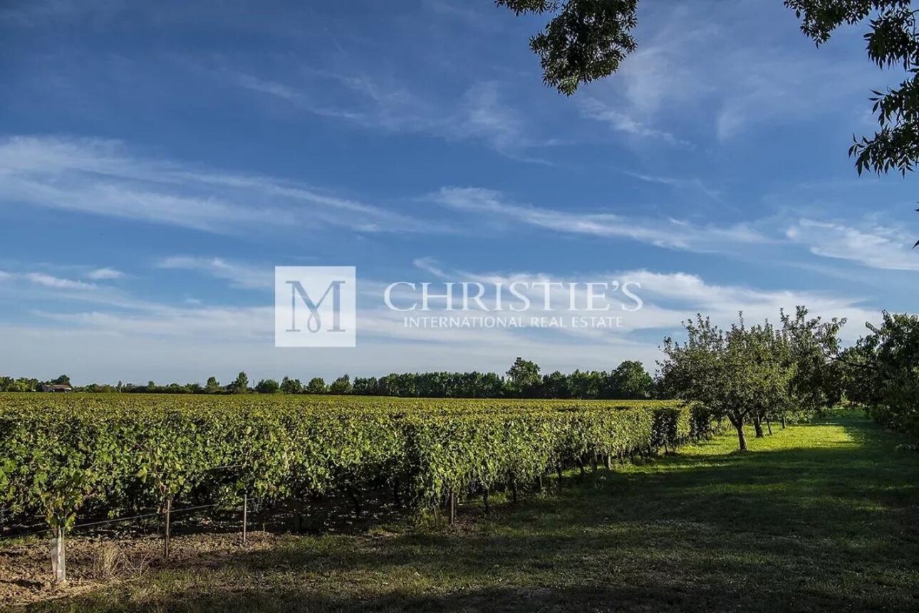 Photos 21 - Vineyard - For sale beautiful turnkey lifestyle passion vineyard estate on the banks of the Dordogne River clos