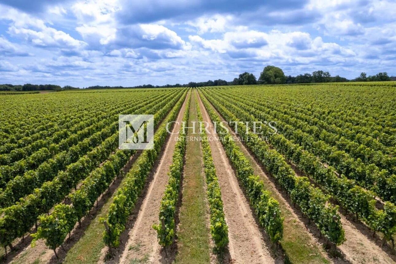 Photos 4 - Prestigious - For sale Entre-Deux-Mers very attractive vineyard estate with excellent terroir, quality wines and b