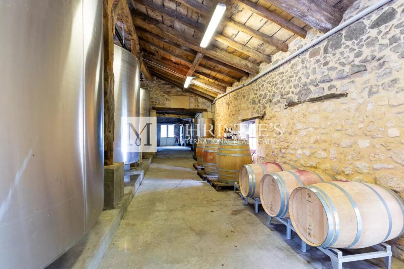 Photos 7 - Prestigious - For sale Entre-Deux-Mers very attractive vineyard estate with excellent terroir, quality wines and b