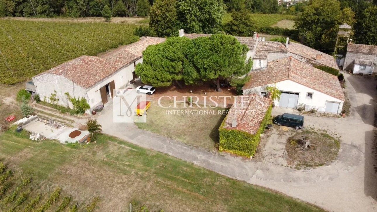 Photos 4 - Equestrian - Property with panoramic views, gîte, 10-ha organic vineyard. Great potential !