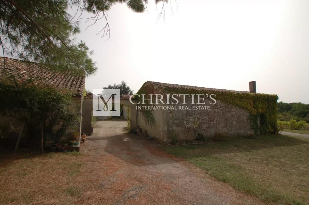 Photos 15 - Equestrian - Property with panoramic views, gîte, 10-ha organic vineyard. Great potential !