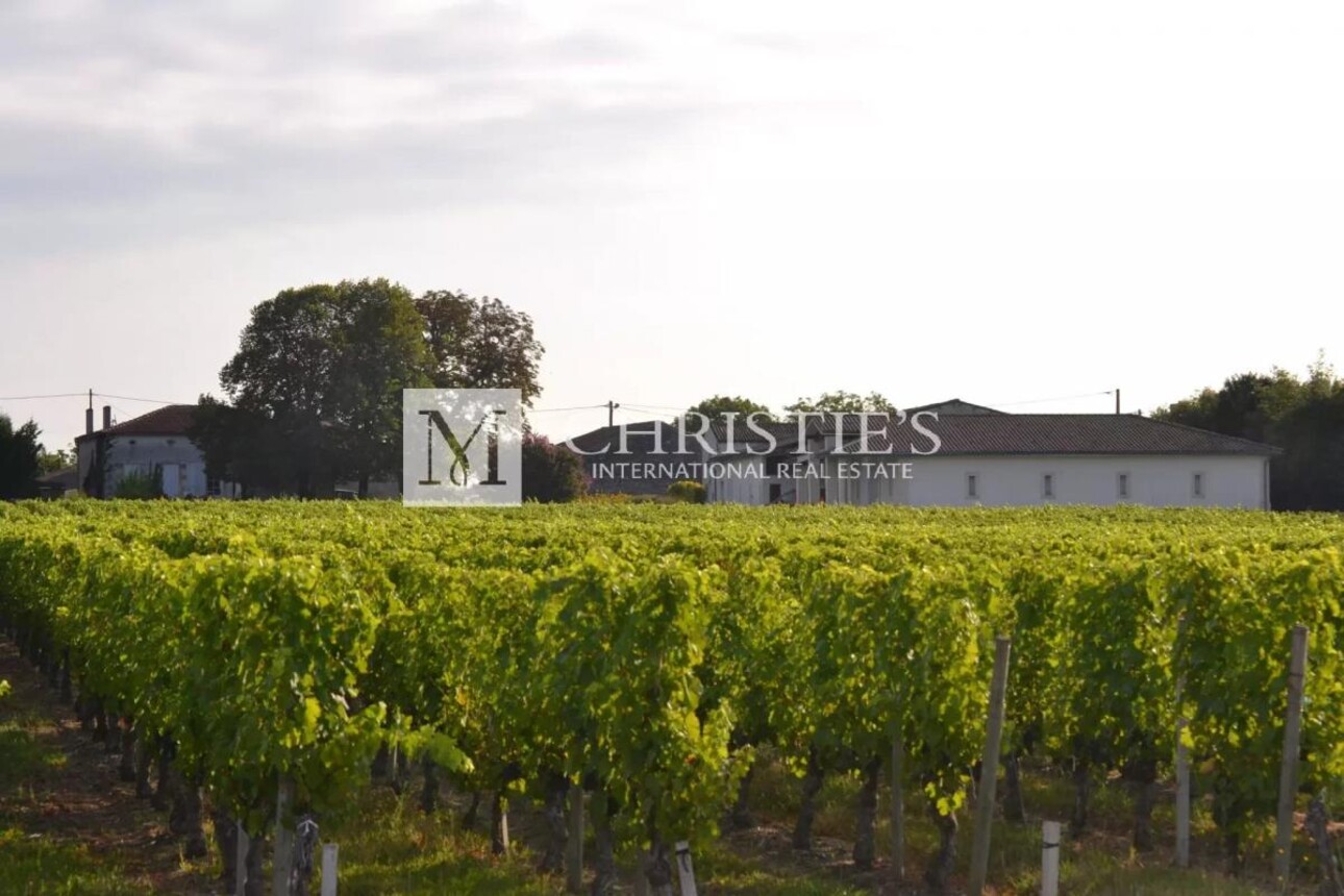 Photos 1 - Vineyard - AOC Moulis vineyard estate of 16 ha in one single block with a stone house to renovate