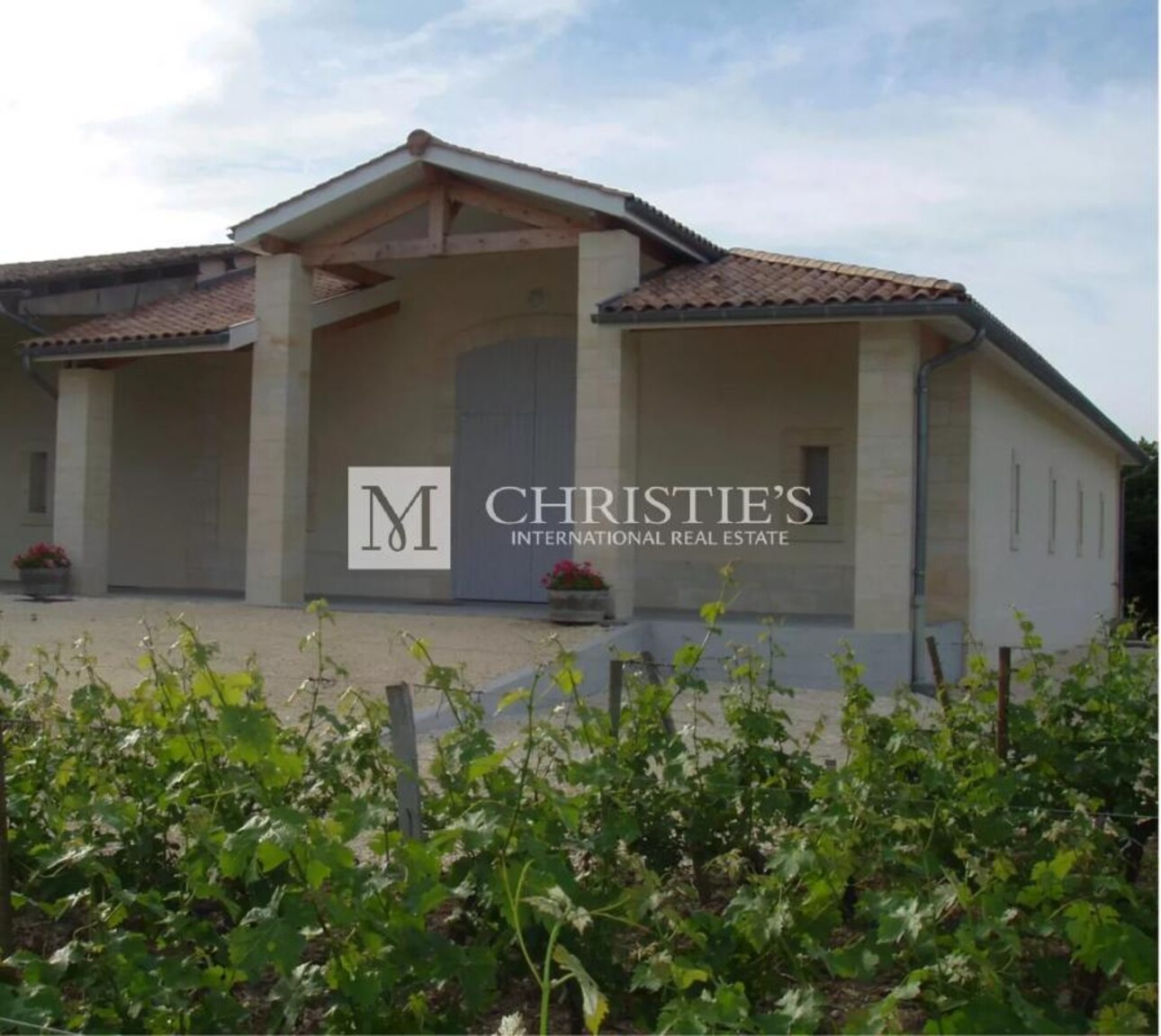 Photos 5 - Vineyard - AOC Moulis vineyard estate of 16 ha in one single block with a stone house to renovate