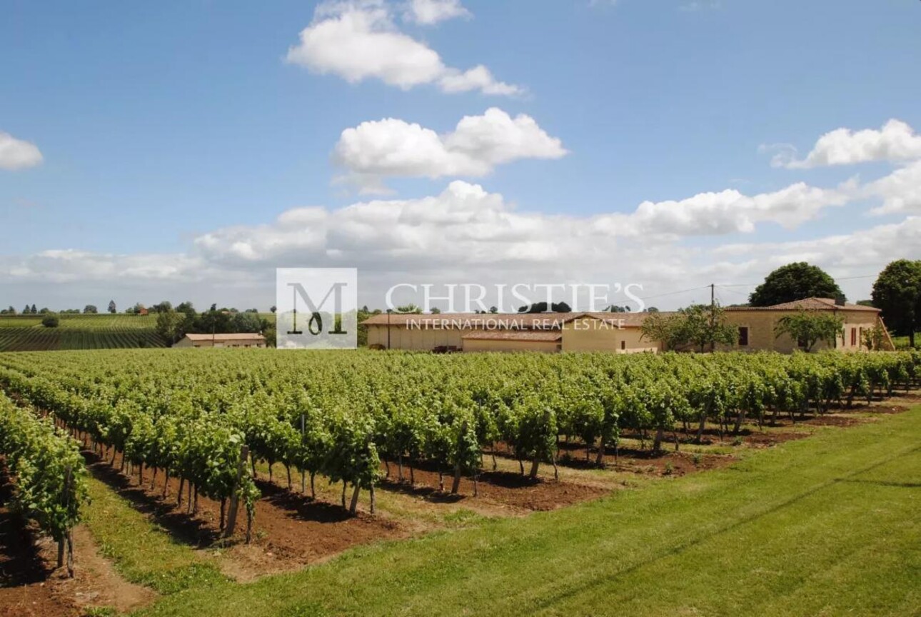 Photos 1 - Vineyard - For sale Turnkey organic vineyard estate of 26 ha - perfectly maintained!