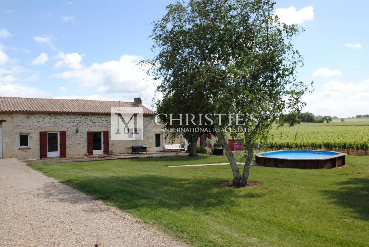 Photos 5 - Vineyard - For sale Turnkey organic vineyard estate of 26 ha - perfectly maintained!