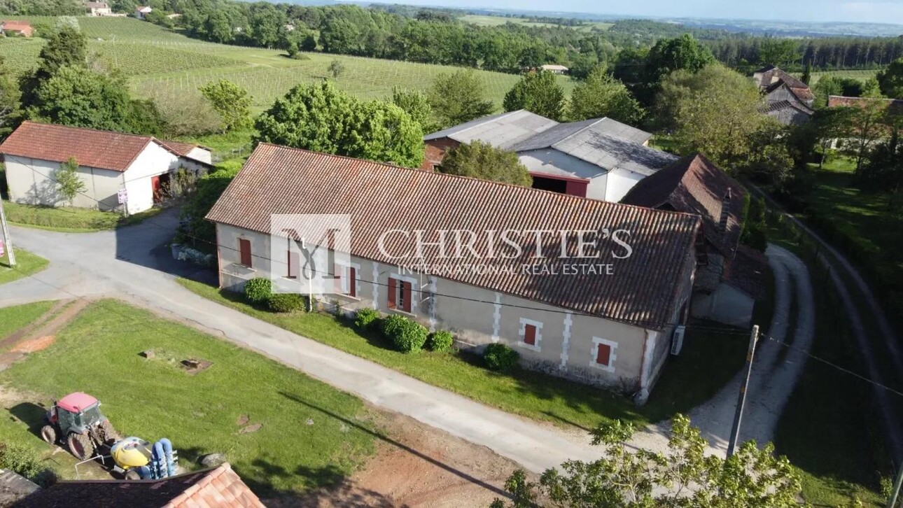 Photos 2 - Vineyard - For sale organic vineyard in AOC Pécharmant and Rosette