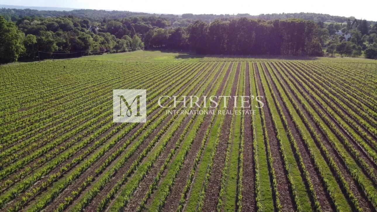 Photos 3 - Vineyard - For sale organic vineyard in AOC Pécharmant and Rosette