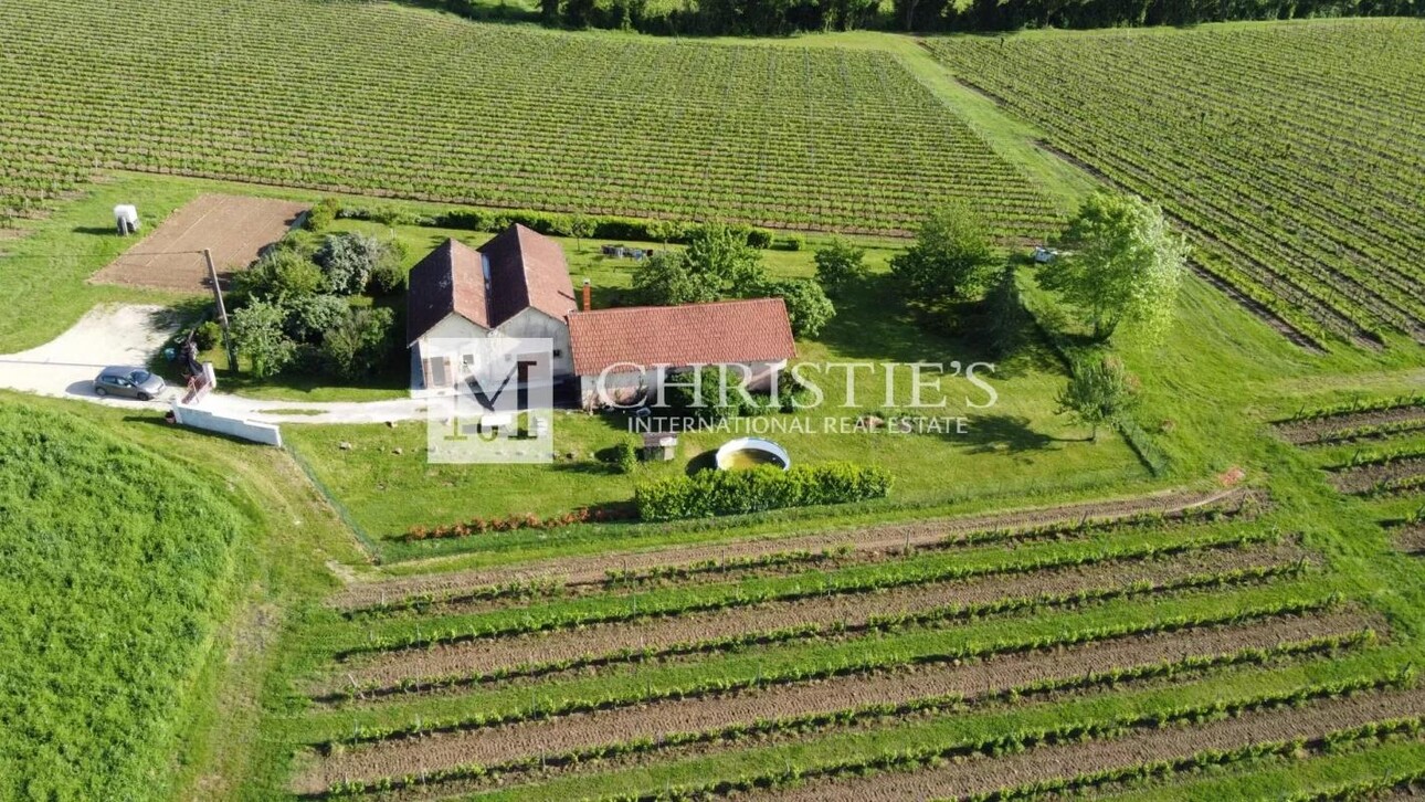 Photos 7 - Vineyard - For sale organic vineyard in AOC Pécharmant and Rosette