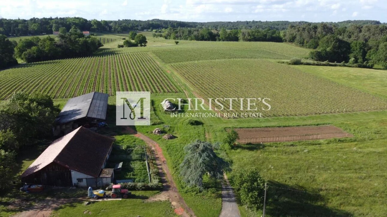 Photos 9 - Vineyard - For sale organic vineyard in AOC Pécharmant and Rosette