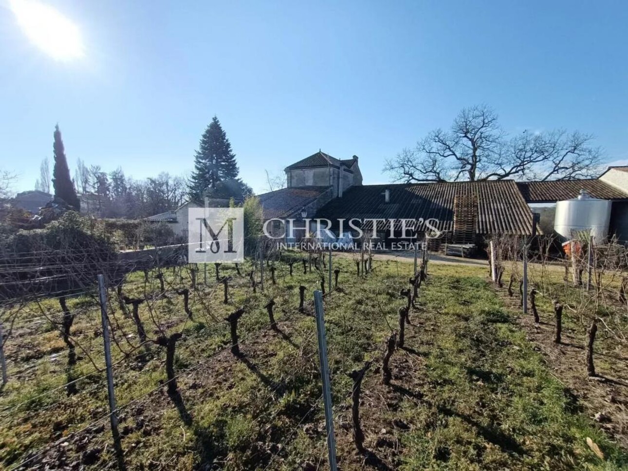 Photos 15 - Agricultural - Vineyard estate for sale of 8,5 ha in AOC Castillon Côtes de Bordeaux