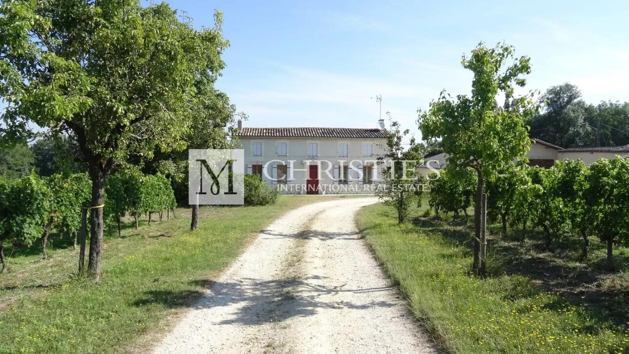 Photos 2 - Viticole - A vendre propriété de 15 ha , beau terroir en Agriculture Biologique