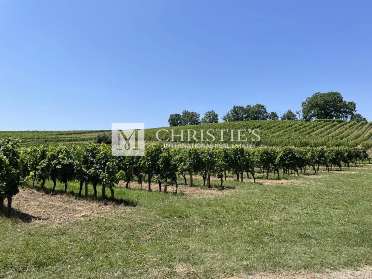 Photos 4 - Vineyard - For sale 20 minutes from Bergerac, Beautiful family vineyard estate of 28ha in organic farming, AOC