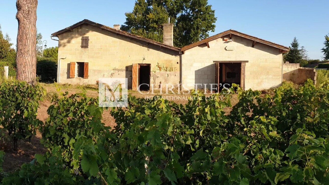 Photos 1 - Viticole - A vendre environ 2,5 ha de vignes en AOC Saint-Emilion avec petite maison à rénover