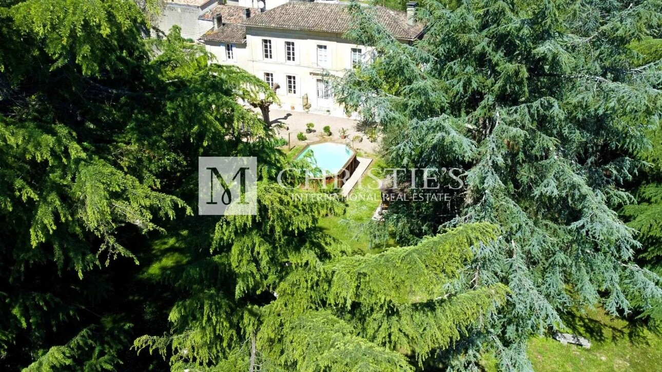 Photos 11 - Viticole - Charmante propriété viticole de 10 hectares avec 2 maisons - AOC Castillon Côtes de Bordeaux