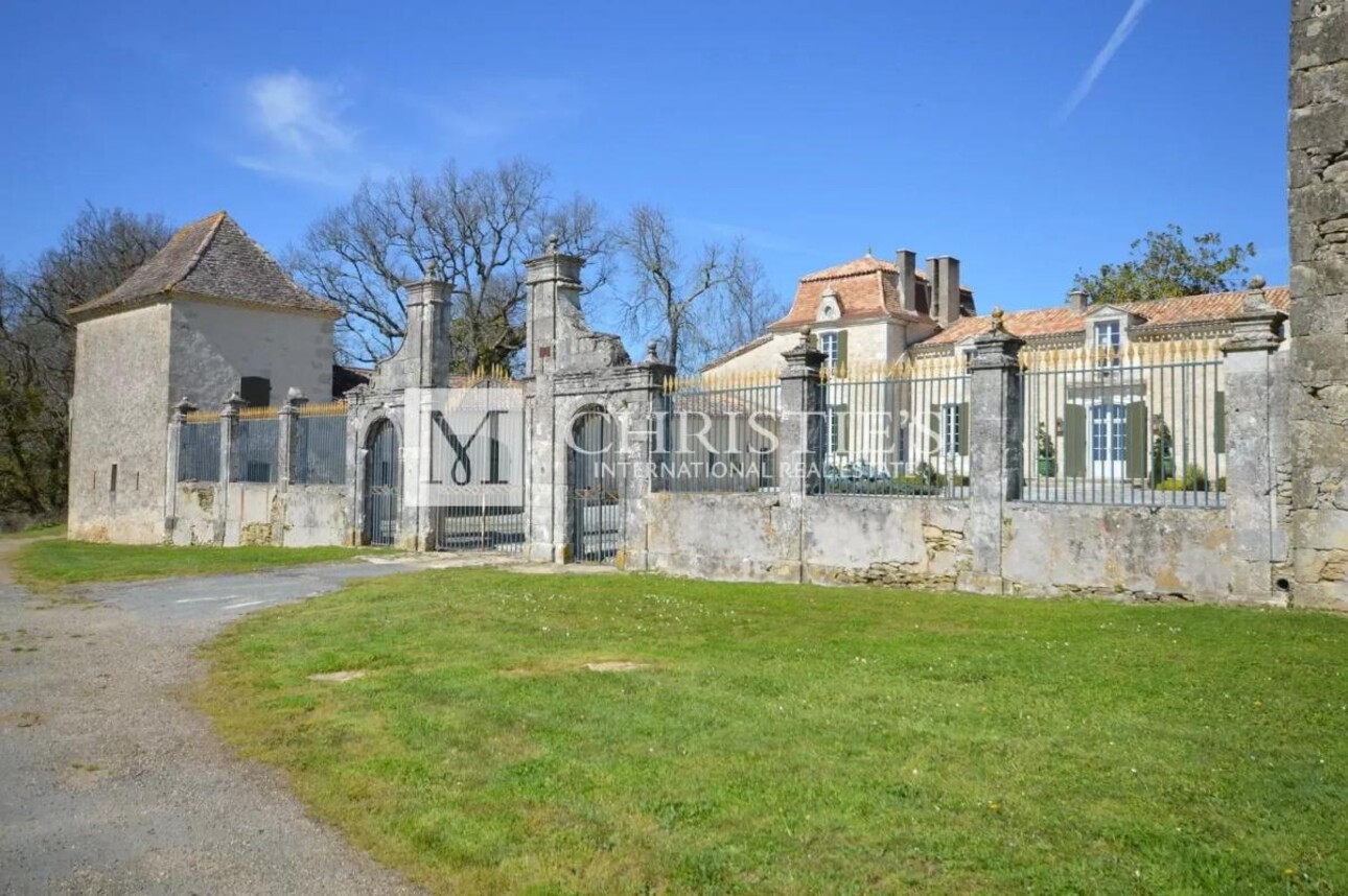 Photos 3 - Vineyard - Sumptuous Chartreuse estate with vineyard near Saint-Emilion