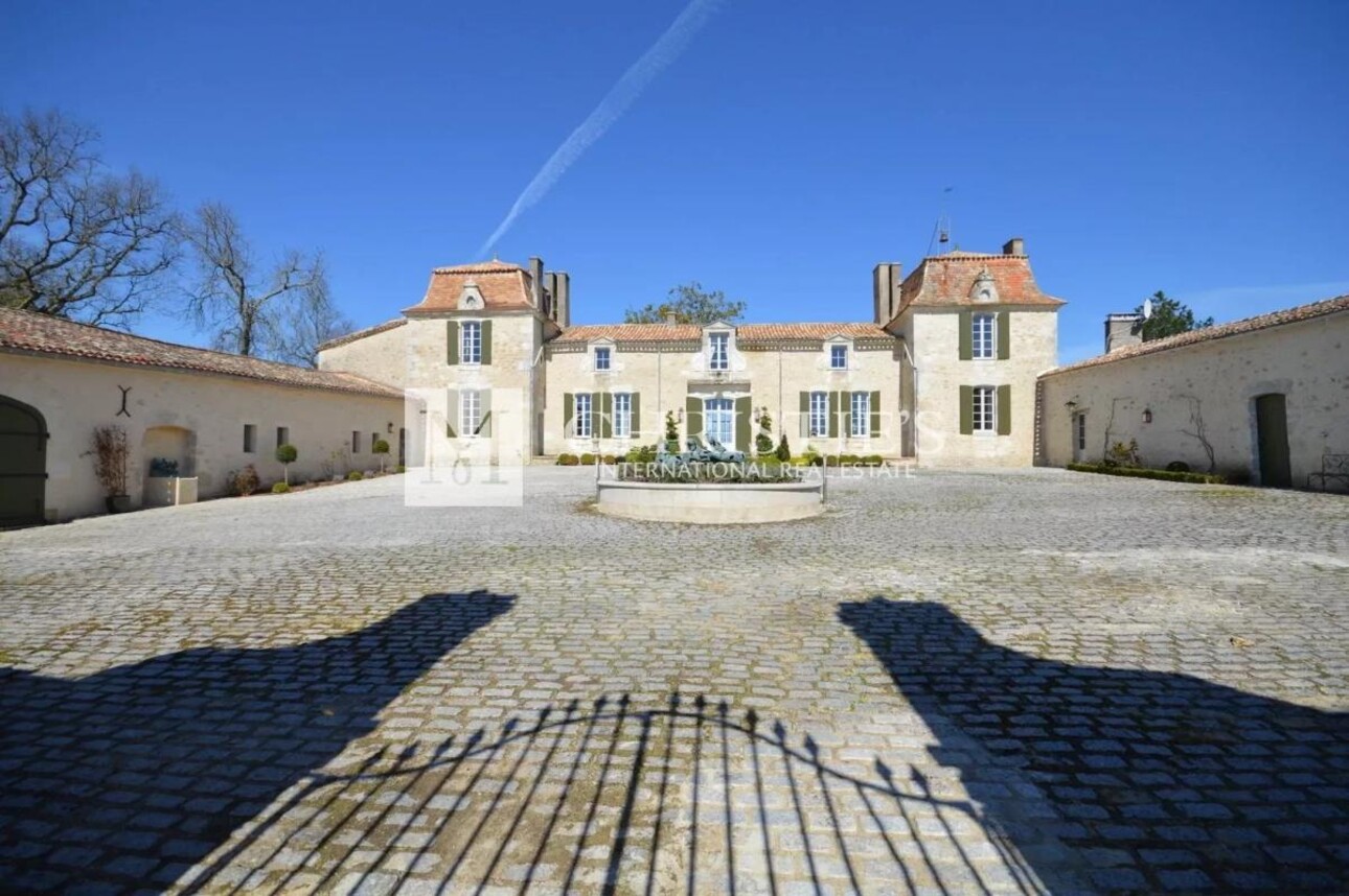 Photos 4 - Vineyard - Sumptuous Chartreuse estate with vineyard near Saint-Emilion