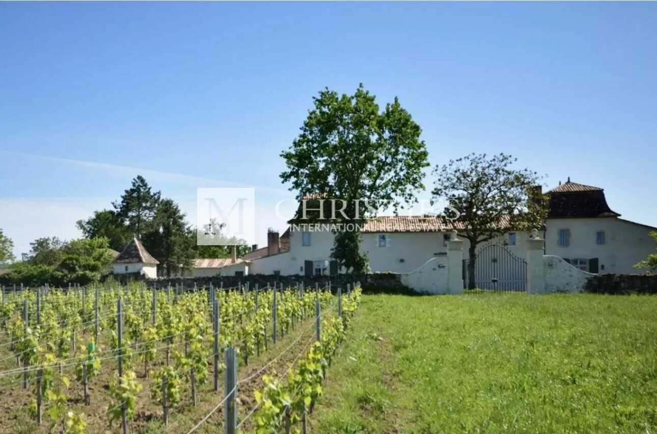 Photos 5 - Vineyard - Sumptuous Chartreuse estate with vineyard near Saint-Emilion