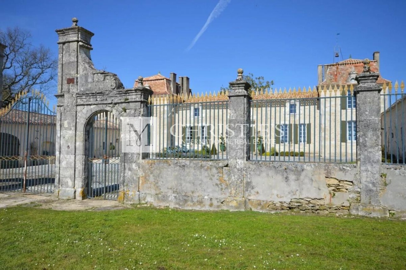 Photos 8 - Vineyard - Sumptuous Chartreuse estate with vineyard near Saint-Emilion